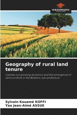 bokomslag Geography of rural land tenure