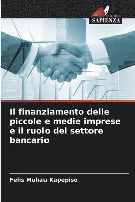 bokomslag Il finanziamento delle piccole e medie imprese e il ruolo del settore bancario