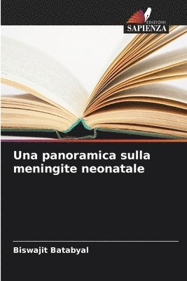 bokomslag Una panoramica sulla meningite neonatale