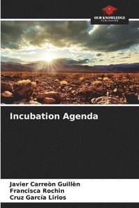 bokomslag Incubation Agenda