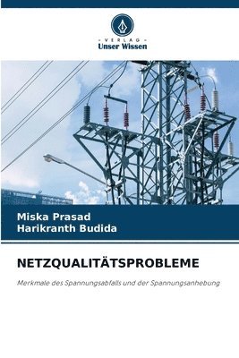 Netzqualittsprobleme 1