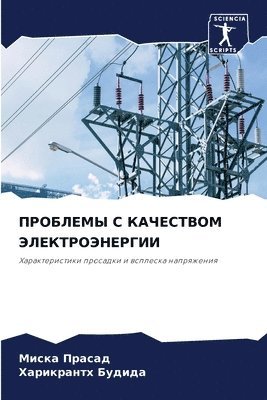 bokomslag &#1055;&#1056;&#1054;&#1041;&#1051;&#1045;&#1052;&#1067; &#1057; &#1050;&#1040;&#1063;&#1045;&#1057;&#1058;&#1042;&#1054;&#1052;