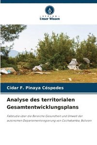 bokomslag Analyse des territorialen Gesamtentwicklungsplans