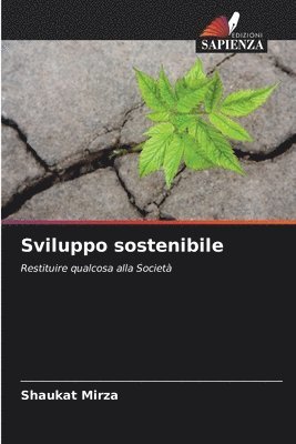 bokomslag Sviluppo sostenibile