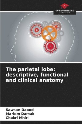 bokomslag The parietal lobe