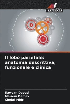 Il lobo parietale 1