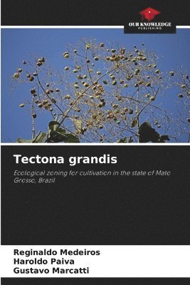 bokomslag Tectona grandis