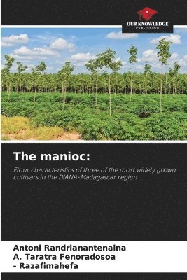 The manioc 1