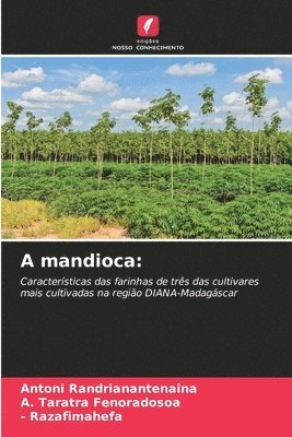 A mandioca 1