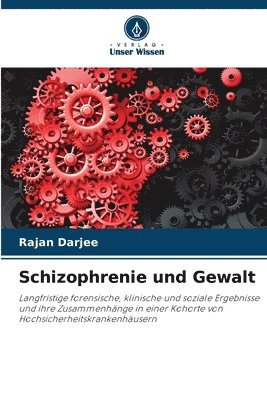 bokomslag Schizophrenie und Gewalt