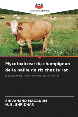 Mycotoxicose du champignon de la paille de riz chez le rat 1