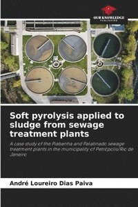 bokomslag Soft pyrolysis applied to sludge from sewage treatment plants