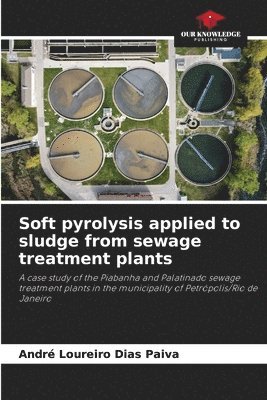 Soft pyrolysis applied to sludge from sewage treatment plants 1