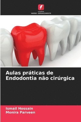 bokomslag Aulas prticas de Endodontia no cirrgica