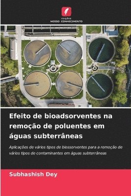 bokomslag Efeito de bioadsorventes na remoo de poluentes em guas subterrneas