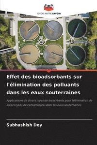 bokomslag Effet des bioadsorbants sur l'limination des polluants dans les eaux souterraines