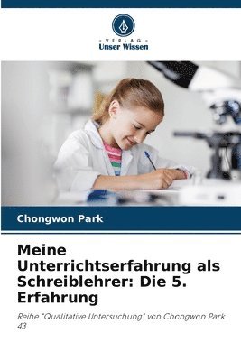 bokomslag Meine Unterrichtserfahrung als Schreiblehrer