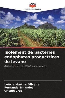 bokomslag Isolement de bactries endophytes productrices de levane