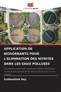 bokomslag Application de Biosorbants Pour l'Elimination Des Nitrites Dans Les Eaux Polluees