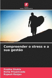 bokomslag Compreender o stress e a sua gesto