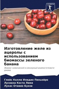 bokomslag &#1048;&#1079;&#1075;&#1086;&#1090;&#1086;&#1074;&#1083;&#1077;&#1085;&#1080;&#1077; &#1078;&#1077;&#1083;&#1077; &#1080;&#1079; &#1072;&#1094;&#1077;&#1088;&#1086;&#1083;&#1099; &#1089;