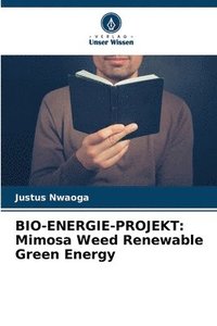 bokomslag Bio-Energie-Projekt