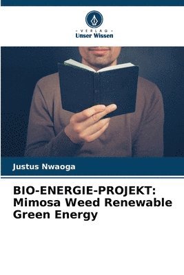 Bio-Energie-Projekt 1