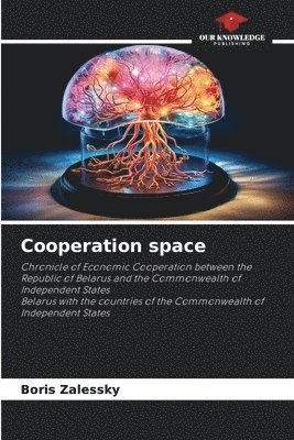 Cooperation space 1