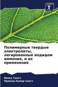 bokomslag &#1055;&#1086;&#1083;&#1080;&#1084;&#1077;&#1088;&#1085;&#1099;&#1077; &#1090;&#1074;&#1077;&#1088;&#1076;&#1099;&#1077; &#1101;&#1083;&#1077;&#1082;&#1090;&#1088;&#1086;&#1083;&#1080;&#1090;&#1099;,