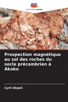 bokomslag Prospection magntique au sol des roches du socle prcambrien  Akoko