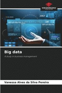 bokomslag Big data