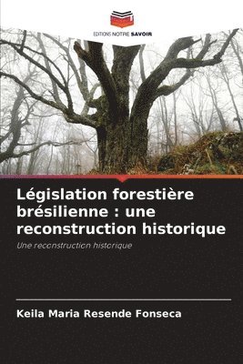 Lgislation forestire brsilienne 1