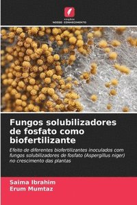 bokomslag Fungos solubilizadores de fosfato como biofertilizante