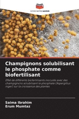 Champignons solubilisant le phosphate comme biofertilisant 1