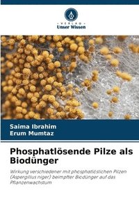 bokomslag Phosphatlsende Pilze als Biodnger