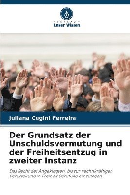 bokomslag Der Grundsatz der Unschuldsvermutung und der Freiheitsentzug in zweiter Instanz