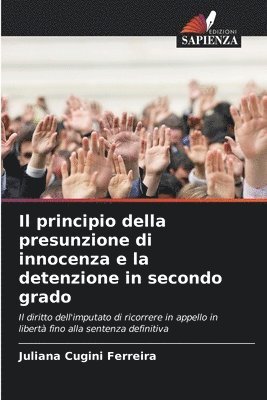 bokomslag Il principio della presunzione di innocenza e la detenzione in secondo grado