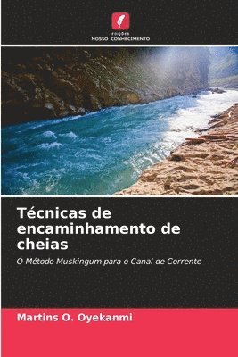 bokomslag Tcnicas de encaminhamento de cheias