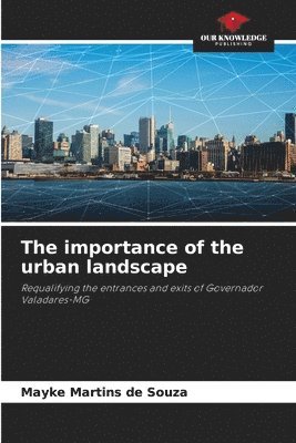 The importance of the urban landscape 1