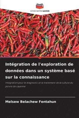 bokomslag Intgration de l'exploration de donnes dans un systme bas sur la connaissance