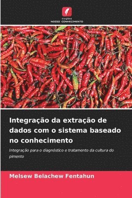 Integrao da extrao de dados com o sistema baseado no conhecimento 1