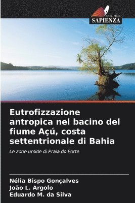 bokomslag Eutrofizzazione antropica nel bacino del fiume A, costa settentrionale di Bahia