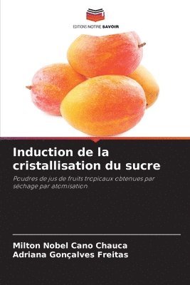 bokomslag Induction de la cristallisation du sucre