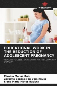 bokomslag Educational Work in the Reduction of Adolescent Pregnancy