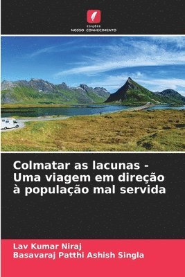 bokomslag Colmatar as lacunas - Uma viagem em direo  populao mal servida