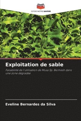 bokomslag Exploitation de sable