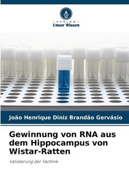 bokomslag Gewinnung von RNA aus dem Hippocampus von Wistar-Ratten