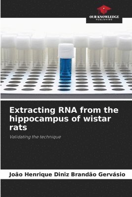 Extracting RNA from the hippocampus of wistar rats 1