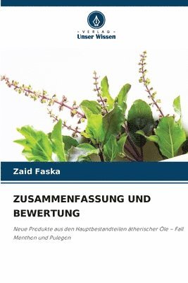 bokomslag Zusammenfassung Und Bewertung