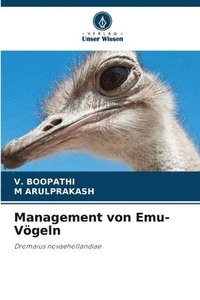 bokomslag Management von Emu-Vgeln